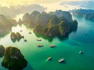 Sea Lion Luxury Cruise