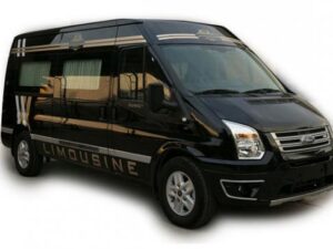Vung Tau - Da Lat 9 - seater Limousine Bus