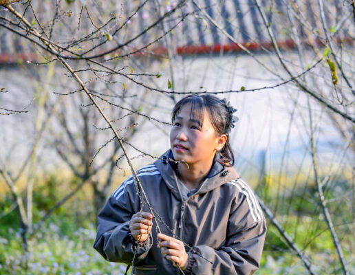 Check - in with wild peach in Son - Ba - Muoi